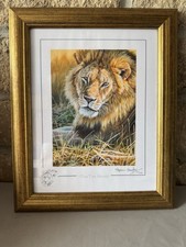 Stephen gayford framed for sale  CONSETT