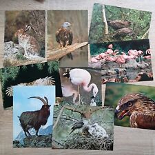 Arthur dixon postcards for sale  LUDLOW