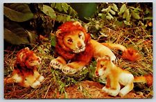 Steiff zoo favorites for sale  Richmond
