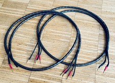 Audio wire 2 gebraucht kaufen  Nürnberg