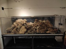 Bulk dry reef for sale  EVESHAM