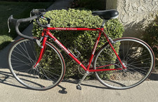 Bianchi campione del for sale  Camarillo