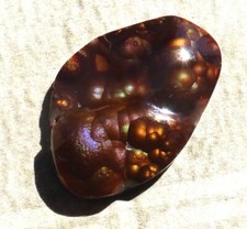 Natural hand fashioned for sale  Deming