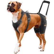 hip brace for sale hip brace for sale Monroe