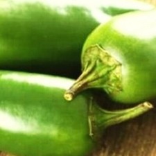 Jalapeno pepper seeds for sale  Minneapolis