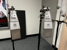 Matched pair vintage for sale  Burbank