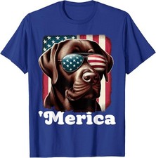 Merica chocolate lab for sale  Amityville