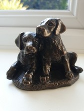 Bronze labrador pupplies for sale  FRODSHAM