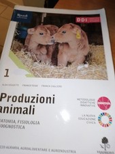 9788852902765 alba veggetti usato  Chiusa Sclafani