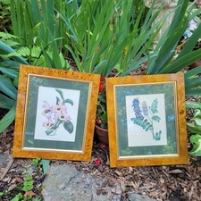 Vintage pair framed for sale  Danbury