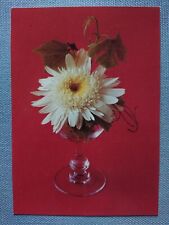 Usado, Cartão postal antigo Ak Dahlia Flowers Planet Publisher Berlin R. Bellmann comprar usado  Enviando para Brazil