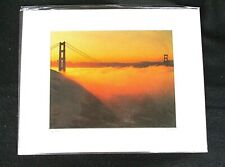 San francisco golden for sale  Aurora