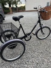 Pashley picador adult for sale  SELBY