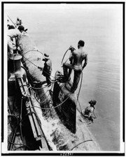 Navy tug raises for sale  USA