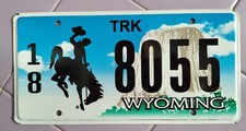 Targa wyoming originale usato  Biella