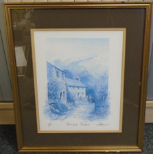 Framed print robin for sale  MIRFIELD