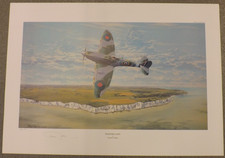 Raf ww2 300 for sale  WHITLAND
