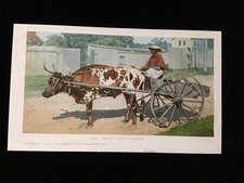 1902 DETROIT PUB #6472 MAMMY CARRINHO DE BOI DIRIGINDO INDO AO MERCADO TRANSPORTE PC comprar usado  Enviando para Brazil