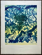Diaz gérard lithographie d'occasion  Paris XVII