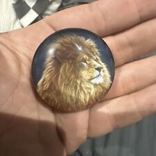 Animal magnets lion for sale  HALSTEAD