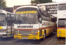 Bus photo pnh183 for sale  SAFFRON WALDEN