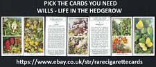 Wills life hedgerow for sale  TAMWORTH