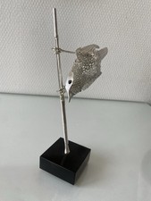 Oiseau posé branche d'occasion Oiseau posé branche d'occasion  Dammarie