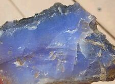 Holly holley blue for sale  Powell Butte