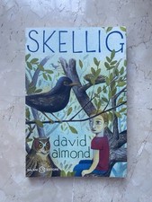 David almond skellig usato  Gorgonzola