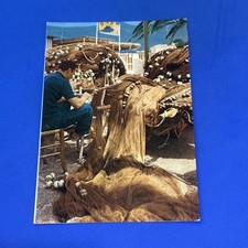 Sestri levante veduta usato Sestri levante veduta usato  Bari