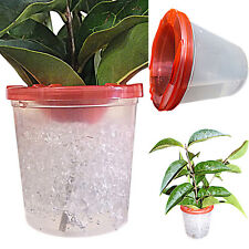 Twig pot pair for sale  LOWESTOFT
