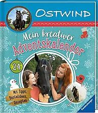 Stwind kreativer adventskalend gebraucht kaufen  Berlin