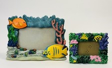 Tropical fish coral for sale  Columbus
