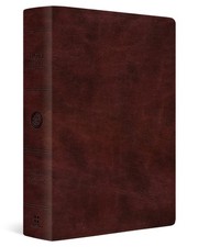 Esv super giant for sale  Fort Wayne