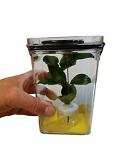 Stick insect nursery for sale  LOWESTOFT