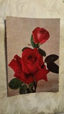 Cartolina fiori rose usato  Bologna