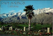 Continental postcard palm for sale  San Gabriel