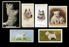 CARTÕES COMERCIAIS E CIGARROS WEST HIGHLAND WHITE TERRIER WESTIE DOG x 6 todos originais comprar usado  Enviando para Brazil