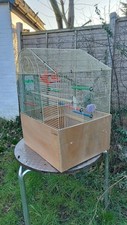 Big size bird for sale  LONDON