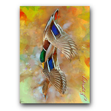 Mallard duck art for sale  Pasco