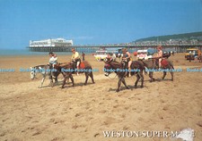 D101783 weston super for sale  WARLINGHAM