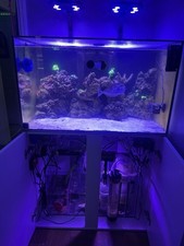Aqua one reefsys for sale  THORNTON-CLEVELEYS