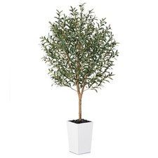 Artificial olive tree for sale  Charlotte
