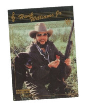 Hank williams jr. for sale  Surprise