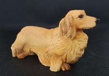 Long hair dachshund for sale  NEWHAVEN