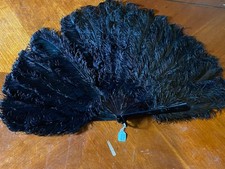 Fabulous burlesque ostrich for sale  LLANFAIRPWLLGWYNGYLL