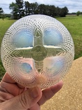 Rene lalique coquilles for sale  Greenfield