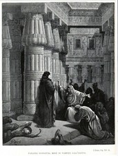 Antica stampa gustavo usato Antica stampa gustavo usato  Italia