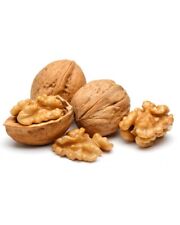Walnuts shell whole for sale  BIRMINGHAM