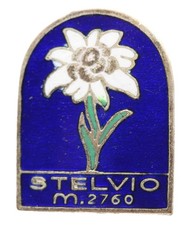 Distintivo stelvio smaltato usato Distintivo stelvio smaltato usato  Sarzana